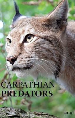 Карпатские хищники / Carpathian Predators (2019) смотреть онлайн бесплатно в отличном качестве