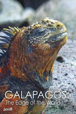 Галапагосы: На краю Земли (Galapagos: The Edge of the World) 2018 года смотреть онлайн бесплатно в отличном качестве. Постер