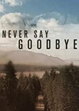 Никогда не говори "прощай" (Never Say Goodbye) 2019 года смотреть онлайн бесплатно в отличном качестве. Постер