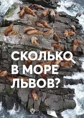 Сколько в море львов? /  (2018) смотреть онлайн бесплатно в отличном качестве