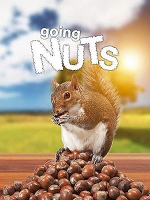 Любители орехов. Беличьи истории / Going Nuts - Tales from the Squirrel World (2019) смотреть онлайн бесплатно в отличном качестве