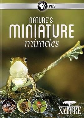 Миниатюрные чудеса / Nature's Miniature Miracles (2017) смотреть онлайн бесплатно в отличном качестве