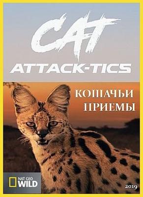 Кошачьи приемы / Cat Attack-Tics (2019) смотреть онлайн бесплатно в отличном качестве