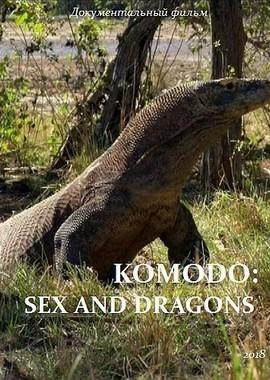 Драконы с острова Комодо. История любви / Komodo: Sex And Dragons (2018) смотреть онлайн бесплатно в отличном качестве