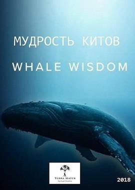 Мудрость китов / Whale Wisdom (2018) смотреть онлайн бесплатно в отличном качестве