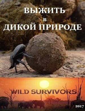 Выжить в дикой природе / Wild Survivors (2017) смотреть онлайн бесплатно в отличном качестве