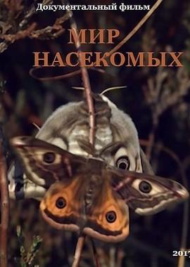 Мир насекомых / Insect World (2017) смотреть онлайн бесплатно в отличном качестве