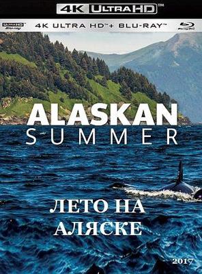 Лето на Аляске / Alaskan Summer (2017) смотреть онлайн бесплатно в отличном качестве