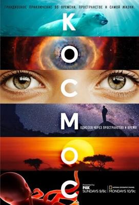 Космос: Пространство и время / Cosmos: A SpaceTime Odyssey () смотреть онлайн бесплатно в отличном качестве