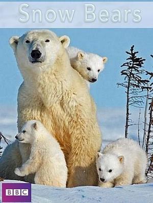 BBC. Снежные медведи (Snow Bears) 2017 года смотреть онлайн бесплатно в отличном качестве. Постер