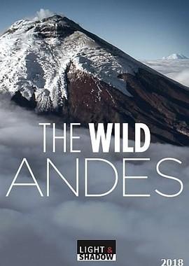 Дикие Анды (The wild Andes) 2018 года смотреть онлайн бесплатно в отличном качестве. Постер