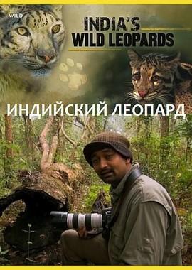 Индийский леопард / India's Wild Leopards (2019) смотреть онлайн бесплатно в отличном качестве