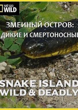 Змеиный остров: Дикие и смертоносные / Snake Island: Wild and Deadly (None) смотреть онлайн бесплатно в отличном качестве