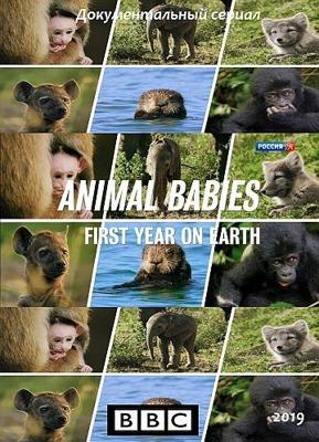 Малыши в дикой природе: первый год на земле / Animal Babies: First Year on Earth (2019) смотреть онлайн бесплатно в отличном качестве