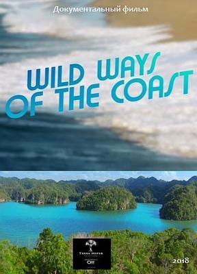 Прибрежные обитатели / Wild Ways of the Coast (2018) смотреть онлайн бесплатно в отличном качестве