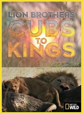 Львы: как братья стали королями / Lion Brothers: Cubs To Kings (2019) смотреть онлайн бесплатно в отличном качестве