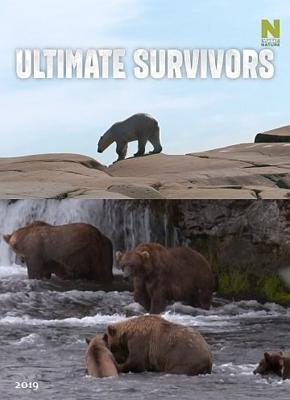 Как выживают медведи / Bears: Ultimate Survivors (2019) смотреть онлайн бесплатно в отличном качестве