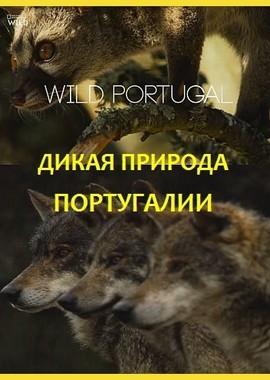 Дикая природа Португалии / Wild Portugal (2019) смотреть онлайн бесплатно в отличном качестве