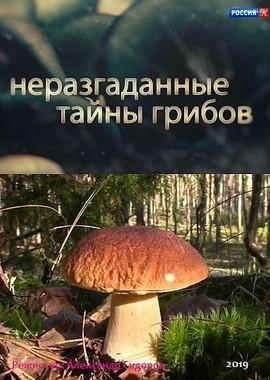 Неразгаданные тайны грибов () 2019 года смотреть онлайн бесплатно в отличном качестве. Постер