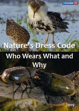 Дресс-код в дикой природе. Кто что носит и почему? / Nature's Dress Code - Who Wears What and Why (2019) смотреть онлайн бесплатно в отличном качестве