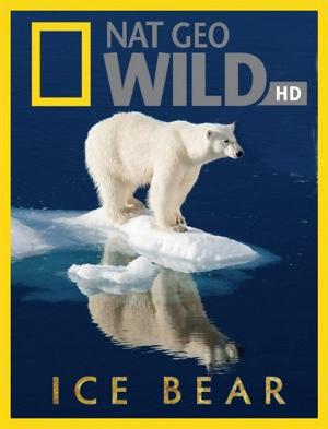 Полярный медведь / Ice Bear () смотреть онлайн бесплатно в отличном качестве