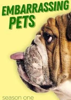 Постыдные проблемы питомцев / Embarrassing Pets (2018) смотреть онлайн бесплатно в отличном качестве