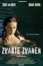 Черные лебеди (Zwarte zwanen) 2005 года смотреть онлайн бесплатно в отличном качестве. Постер