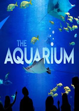 Океанариум / The Aquarium (2019) смотреть онлайн бесплатно в отличном качестве