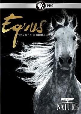 Эквус: История лошади / Equus: Story of the Horse (2018) смотреть онлайн бесплатно в отличном качестве