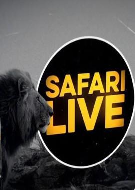 Сафари в прямом эфире: Миграция / Safari Life (2019) смотреть онлайн бесплатно в отличном качестве