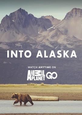 Заповедная Аляска / Into Alaska (2018) смотреть онлайн бесплатно в отличном качестве