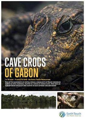 Пещерные крокодилы Габона / Cave Cross of Gabon (2018) смотреть онлайн бесплатно в отличном качестве