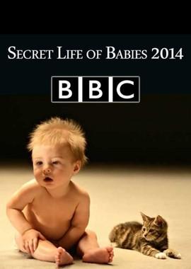 Тайная жизнь детей (Secret Life of Babies)  года смотреть онлайн бесплатно в отличном качестве. Постер