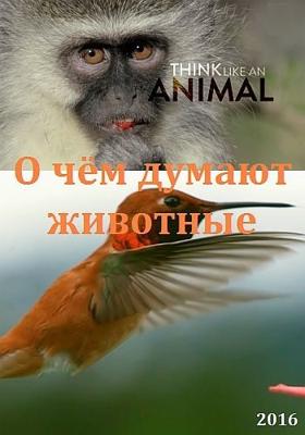 О чём думают животные / Think Like an Animal (2016) смотреть онлайн бесплатно в отличном качестве