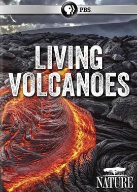 Жизнь на вулкане (Living with Volcanoes) 2019 года смотреть онлайн бесплатно в отличном качестве. Постер