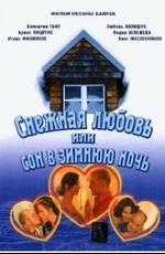 Снежная любовь, или сон в зимнюю ночь /  (2003) смотреть онлайн бесплатно в отличном качестве