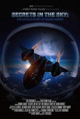 Секреты в небе: Нерассказанная история Сканк Воркс / Secrets in the Sky: The Untold Story of Skunk Works (2019) смотреть онлайн бесплатно в отличном качестве