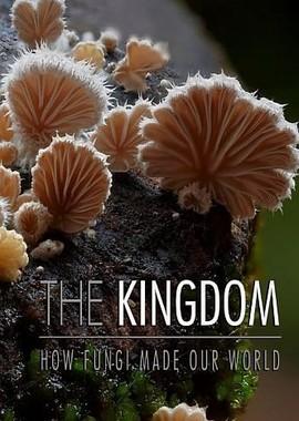 Тайное царство: Грибы, определившие наш мир / The Kingdom: How Fungi Made Our World (2018) смотреть онлайн бесплатно в отличном качестве