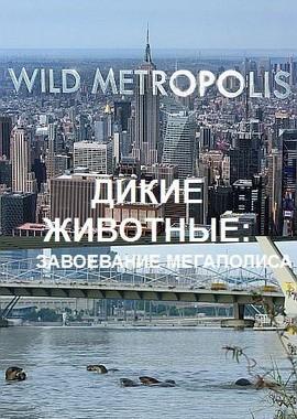 BBC: Дикие животные: Завоевание мегаполиса / Wild Metropolis (2018) смотреть онлайн бесплатно в отличном качестве