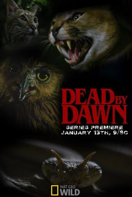 Дожить до рассвета / Dead by Dawn (2019) смотреть онлайн бесплатно в отличном качестве