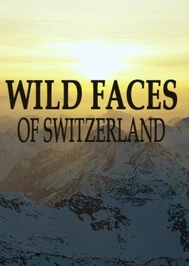 Дикая Швейцария (Wild Faces of Switzerland) 2018 года смотреть онлайн бесплатно в отличном качестве. Постер