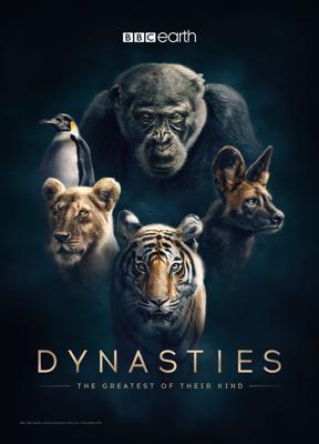 Династии (Dynasties) 2018 года смотреть онлайн бесплатно в отличном качестве. Постер