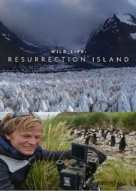 Дикая природа: Остров Воскресения (Wild Life: Resurrection Island) 2018 года смотреть онлайн бесплатно в отличном качестве. Постер