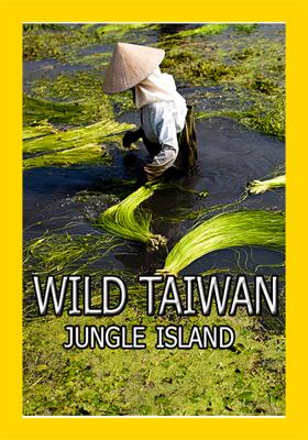 Nat Geo Wild: Дикая природа Тайваня: остров джунглей (Wild Taiwan: Jungle Island) 2018 года смотреть онлайн бесплатно в отличном качестве. Постер