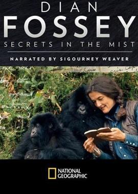 Дайан Фосси: Секреты в тумане / Dian Fossey. Secrets in the Mist (2017) смотреть онлайн бесплатно в отличном качестве