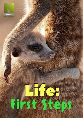 Жизнь: первые шаги / Life: First Steps (2018) смотреть онлайн бесплатно в отличном качестве