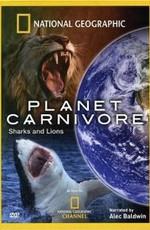 National Geographic: Планета хищников / National Geographic: Planet Carnivore (2007) смотреть онлайн бесплатно в отличном качестве