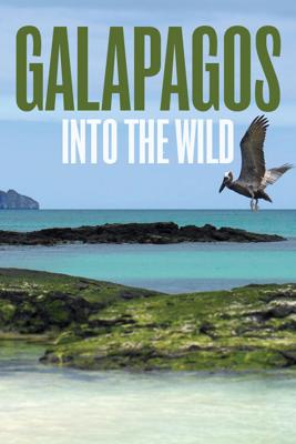 Дикие Галапагосы (Wild Galapagos) 2017 года смотреть онлайн бесплатно в отличном качестве. Постер