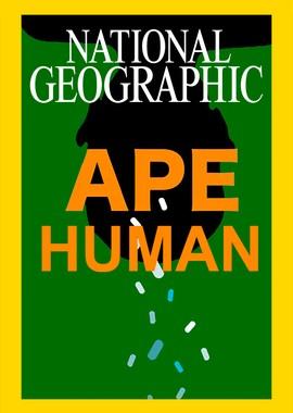 Человекообразные обезьяны / Human Ape (2017) смотреть онлайн бесплатно в отличном качестве