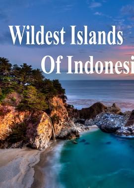 Дикая природа Индонезии / Wildest Islands Of Indonesia (2016) смотреть онлайн бесплатно в отличном качестве